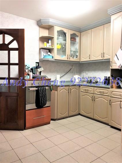 Serangoon Garden Estate (D19), Semi-Detached #172854872